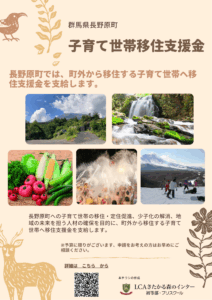 移住補助金について